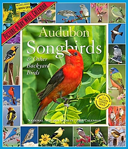 Audubon Songbirds and Other Backyard Birds Picture-A-Day Calendar 2018 (Wall)