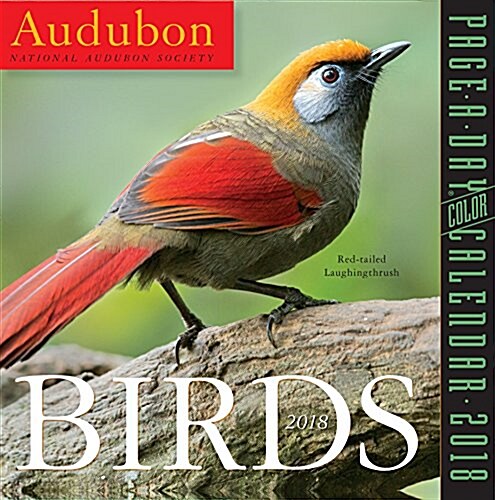 Audubon Birds Page-A-Day Calendar 2018 (Daily)