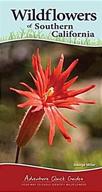 Wildflowers of Southern California: Your Way to Easily Identify Wildflowers (Spiral)