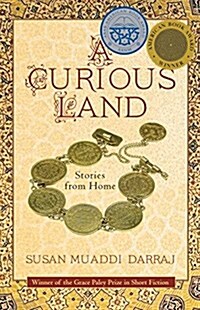 A Curious Land: Stories from Home (Paperback)
