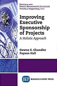 Improving Executive Sponsorship of Projects: A Holistic Approach (Paperback)