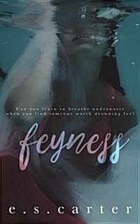 Feyness (Paperback)