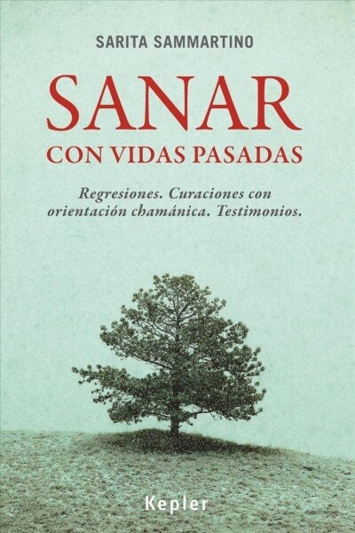 Sanar Con Vidas Pasadas (Paperback)