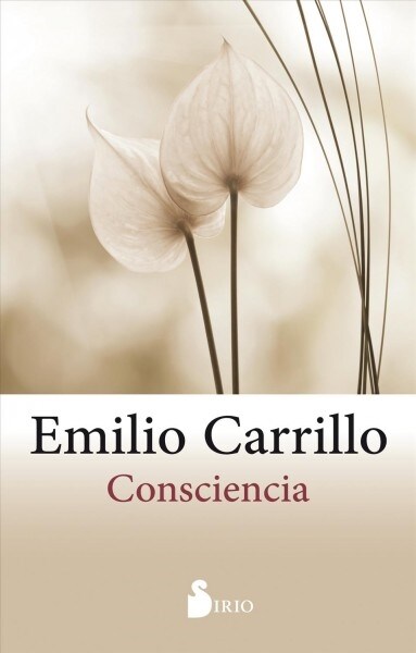 Consciencia (Paperback)