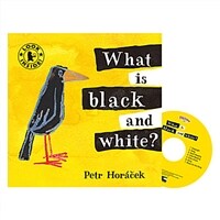 Pictory Set IT-20 / What is Black and White? (Paperbakc+ Audio CD
) - 픽토리 Picture Your Story