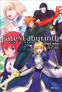 [중고] Fate / Labyrinth 페이트 라비린스