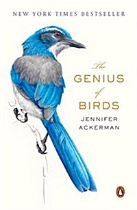 The Genius of Birds (Paperback, Reprint)