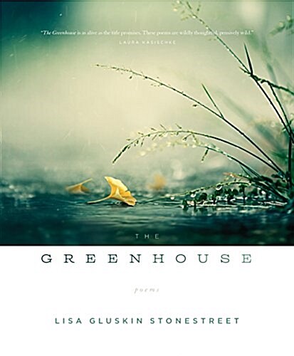 The Greenhouse (Paperback)