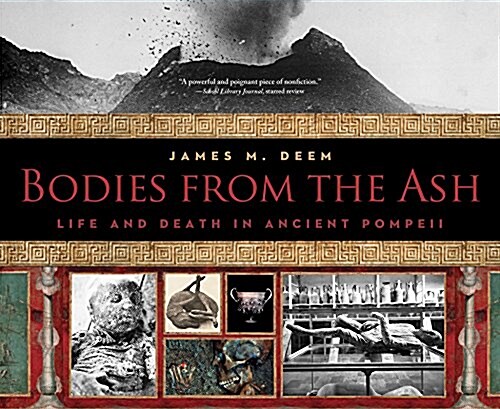 Bodies from the Ash: Life and Death in Ancient Pompeii (Paperback)