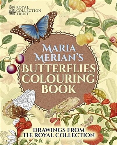 Butterflies Colouring Book (Paperback)