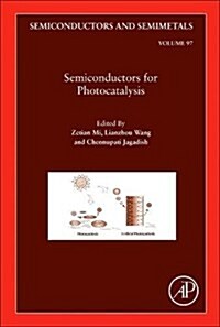 Semiconductors for Photocatalysis: Volume 97 (Hardcover)