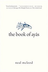 The Book of Ay? (Paperback)