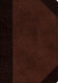 ESV Journaling Psalter (Trutone, Brown/Walnut, Portfolio Design) (Imitation Leather)