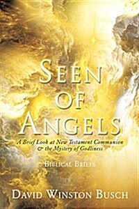 Seen of Angels (Paperback)