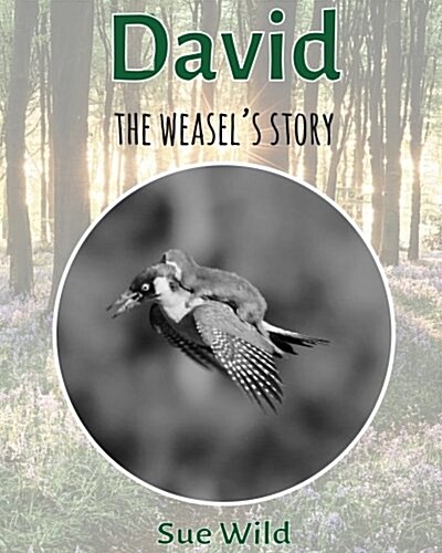 David: The Weasels Story (Paperback)
