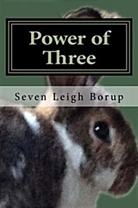 Power of Three (Paperback)