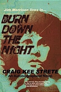 Burn Down the Night (Paperback)