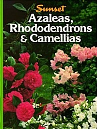 Azaleas, Rhododendrons, & Camellias (Paperback, Revised)
