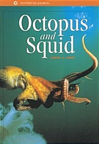 Octopus and Squid (Paperback)