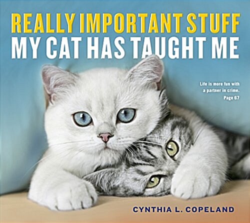 Really Important Stuff My Cat Has Taught Me (Paperback)