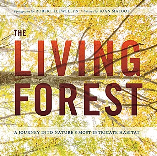 The Living Forest: A Visual Journey Into the Heart of the Woods (Hardcover)