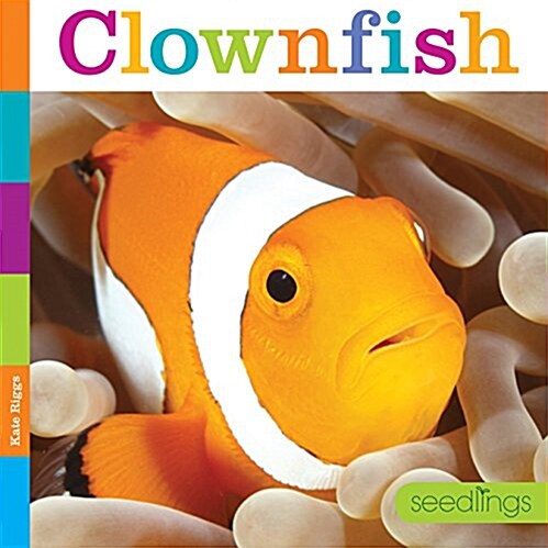 Seedlings: Clownfish (Paperback)