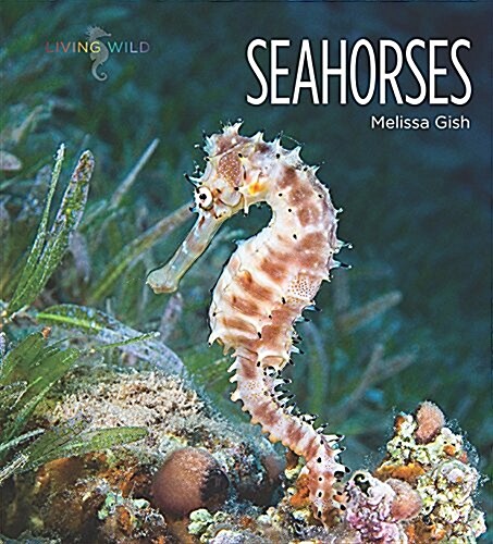 Seahorses (Paperback)