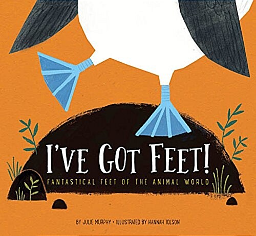 Ive Got Feet!: Fantastical Feet of the Animal World (Hardcover)