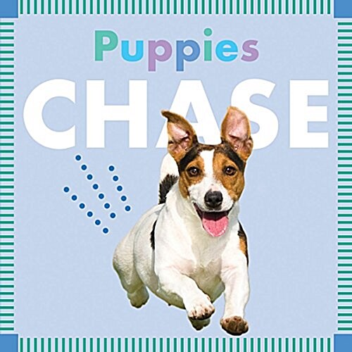 Puppies Chase (Board Books)