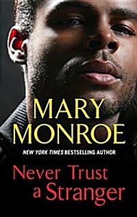 Never Trust a Stranger (Hardcover, Large Print)