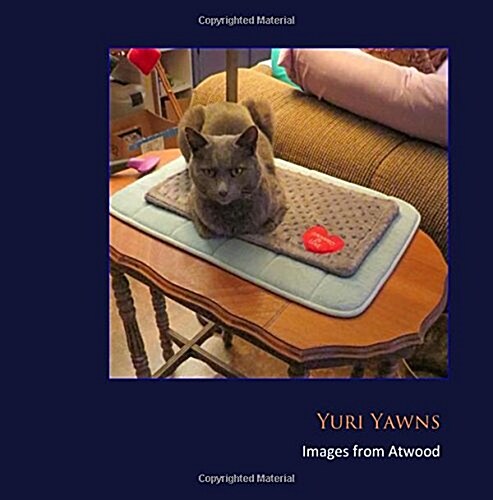 Yuri Yawns: Images from Atwood (Paperback)