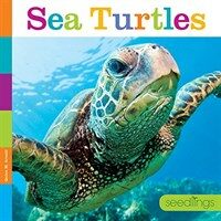 Sea Turtles (Paperback)