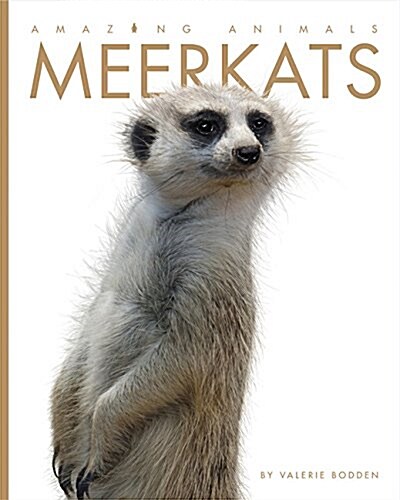 Amazing Animals: Meerkats (Paperback)