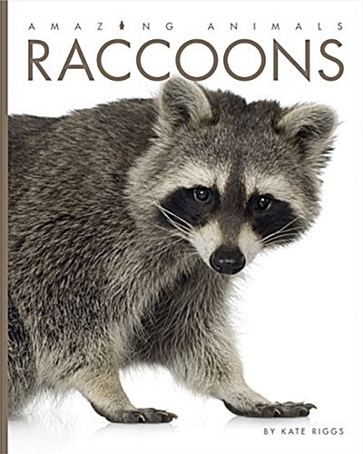 Raccoons (Paperback)