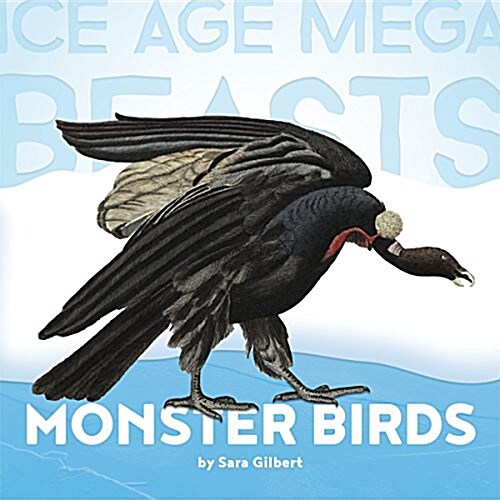 Monster Birds (Paperback)