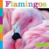 Seedlings: Flamingos (Paperback)