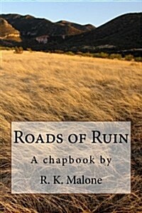Roads of Ruin (Paperback)