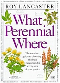 What Perennial Where (Hardcover, 1st American ed)