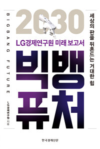 (2030) 빅뱅 퓨처 : LG경제연구원 미래 보고서