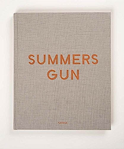 Daniel Hesidence: Summers Gun (Hardcover)