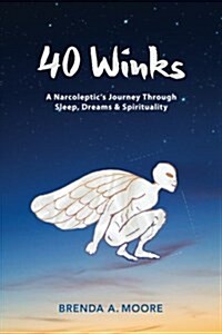 40 Winks: A Narcoleptics Journey Through Sleep, Dreams & Spirituality (Paperback)