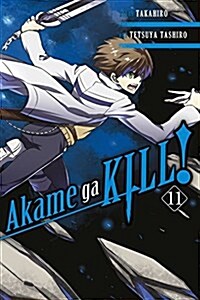 Akame Ga Kill!, Volume 11 (Paperback)