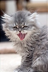 I Am Kitten, Hear Me Roar Persian Cat Journal: 150 Page Lined Notebook/Diary (Paperback)