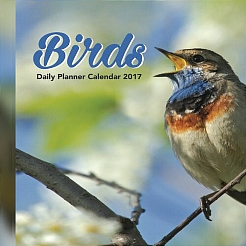 Birds Daily Planner Calendar 2017 (Paperback)